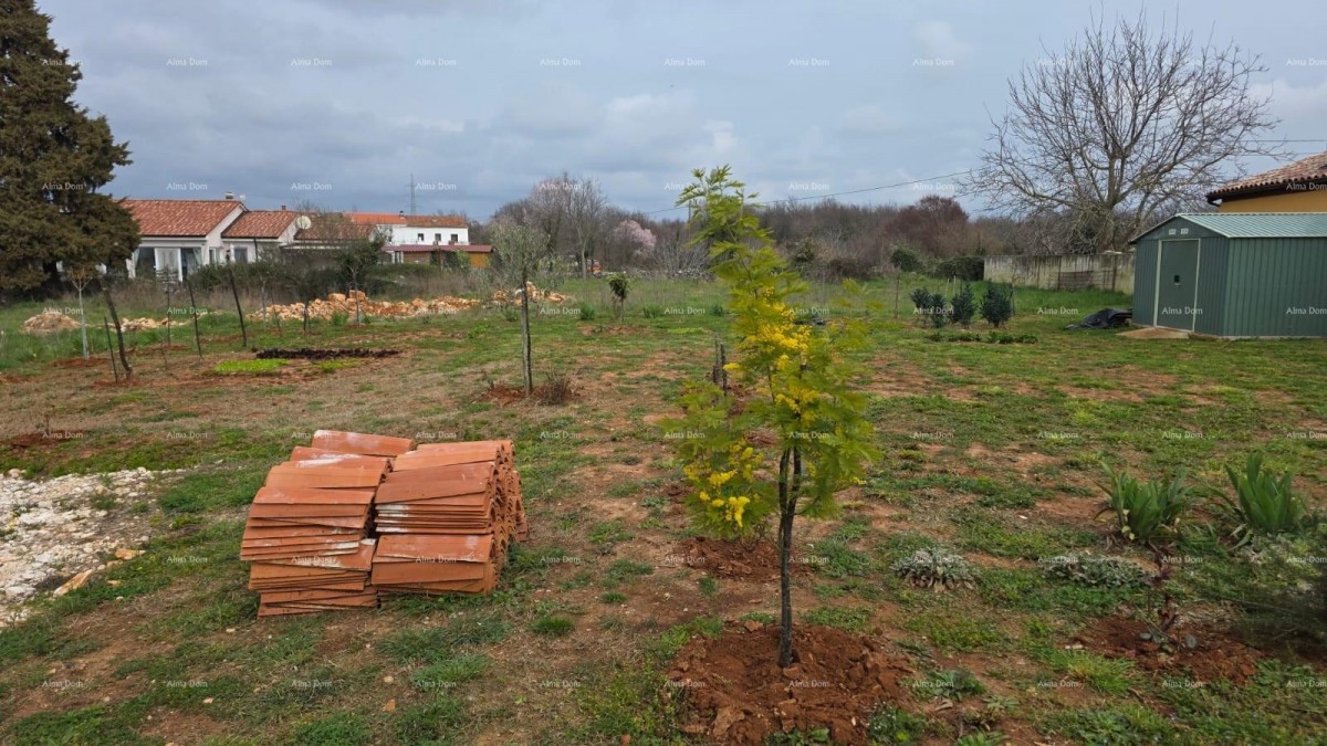 Prodaja zemljišta s  građevinskom dozvolom i projektom, okolica Vodnjana! 16