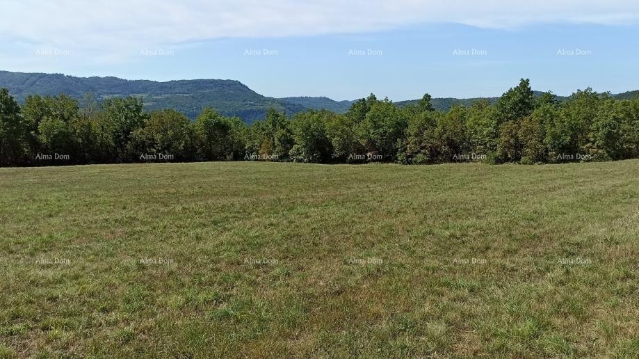 Строительная земля 1.650 м² – Бузет, Истрия 4