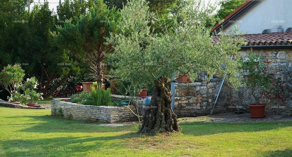 УМАГ, Дом, 144 м², с большим садом и летней кухней, полностью отремонтирован! 17