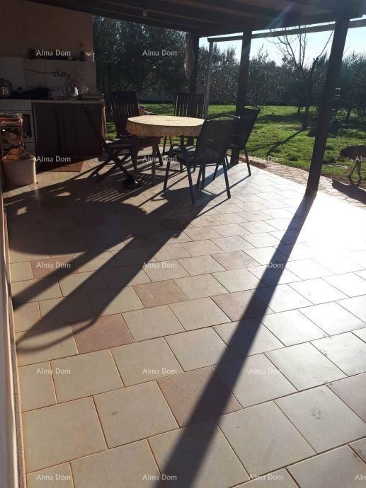 Марчана – Дом с оливковым садом 7