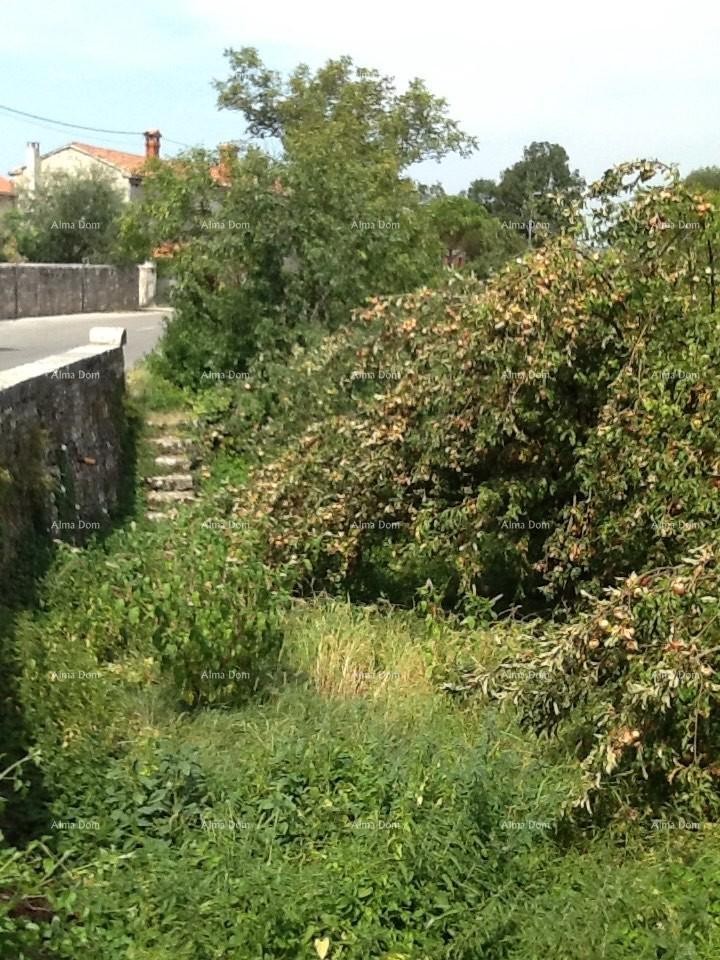 Свети Петар у Шуми, дом и земля 3