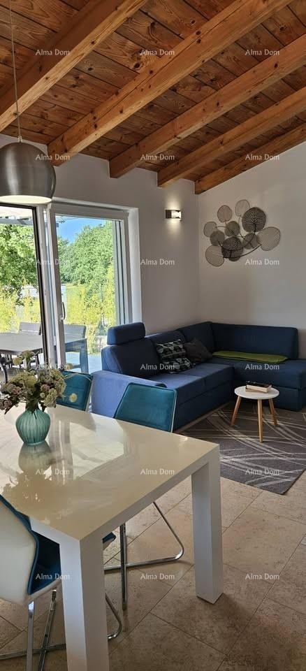 ПАЗИН, ВИЛЛА С БАССЕЙНОМ 6