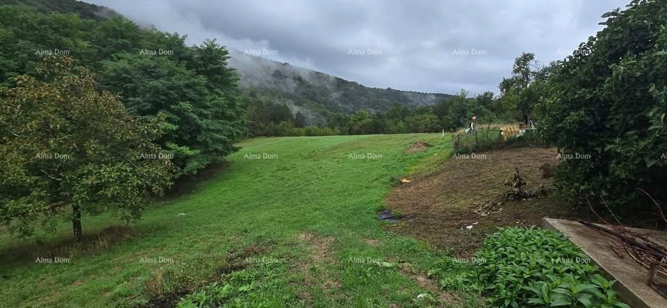 Veliko imanje s hišo in gradbenim zemljiščem, okolica Buzeta 2