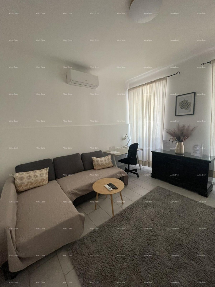 Appartamento arredato di 45 m2 al piano terra nel centro di Pola 2