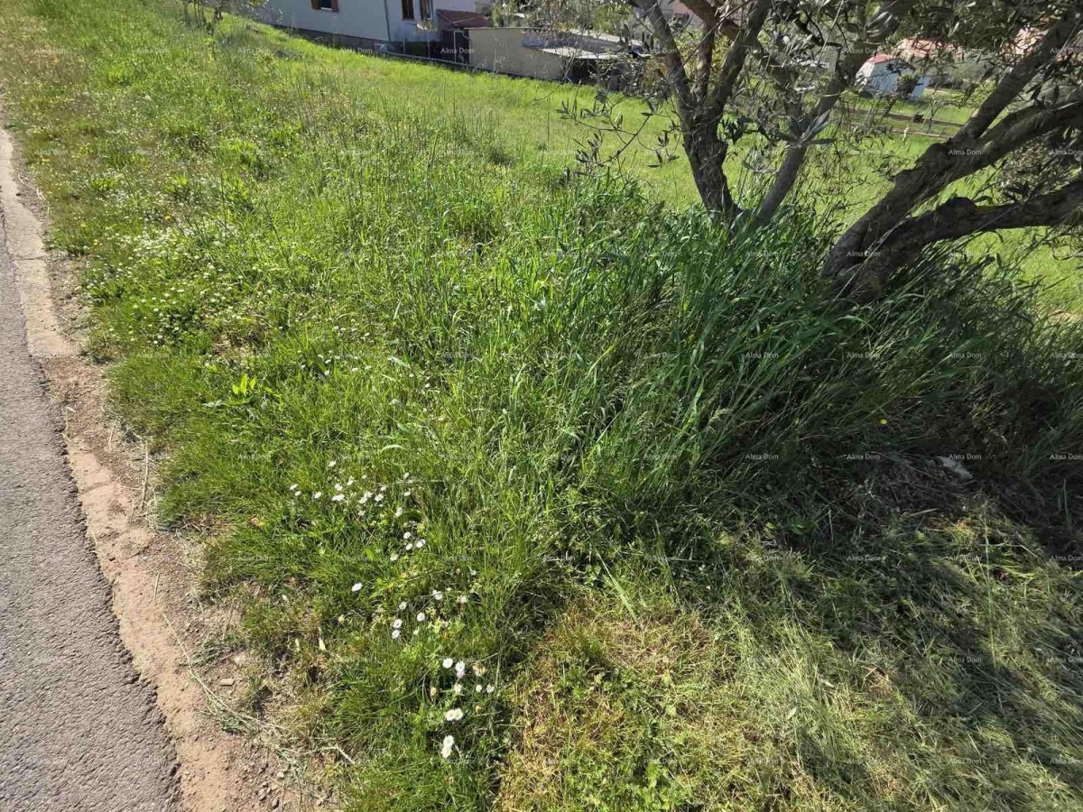 Građevinsko zemljišče 1.412 m², Šegotići 2
