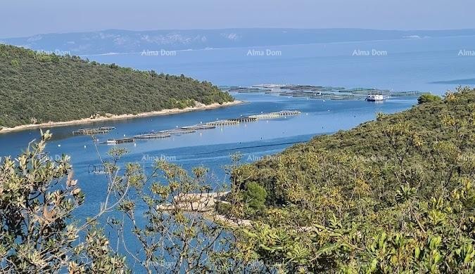 Land – Olive Grove 4,609 m², Valtura 1