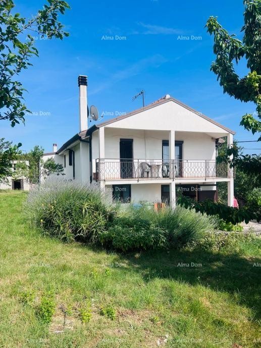 Buje – Samostojeća kuća s maslinikom i građevinskim zemljištem 4