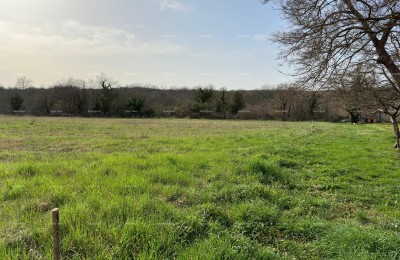 Prodamo gradbeno parcelo v Krnici.