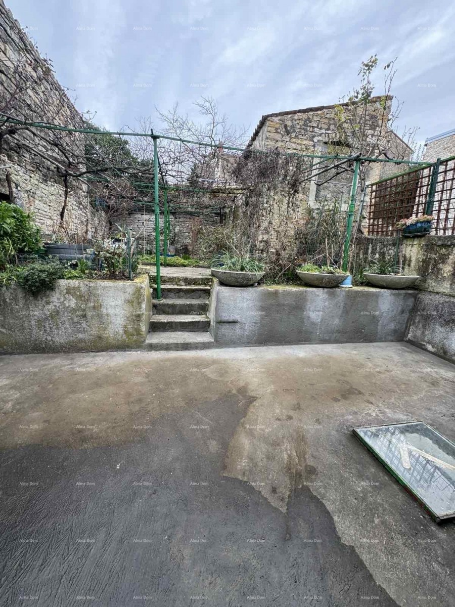 A house with a yard near the center, Buje! 24