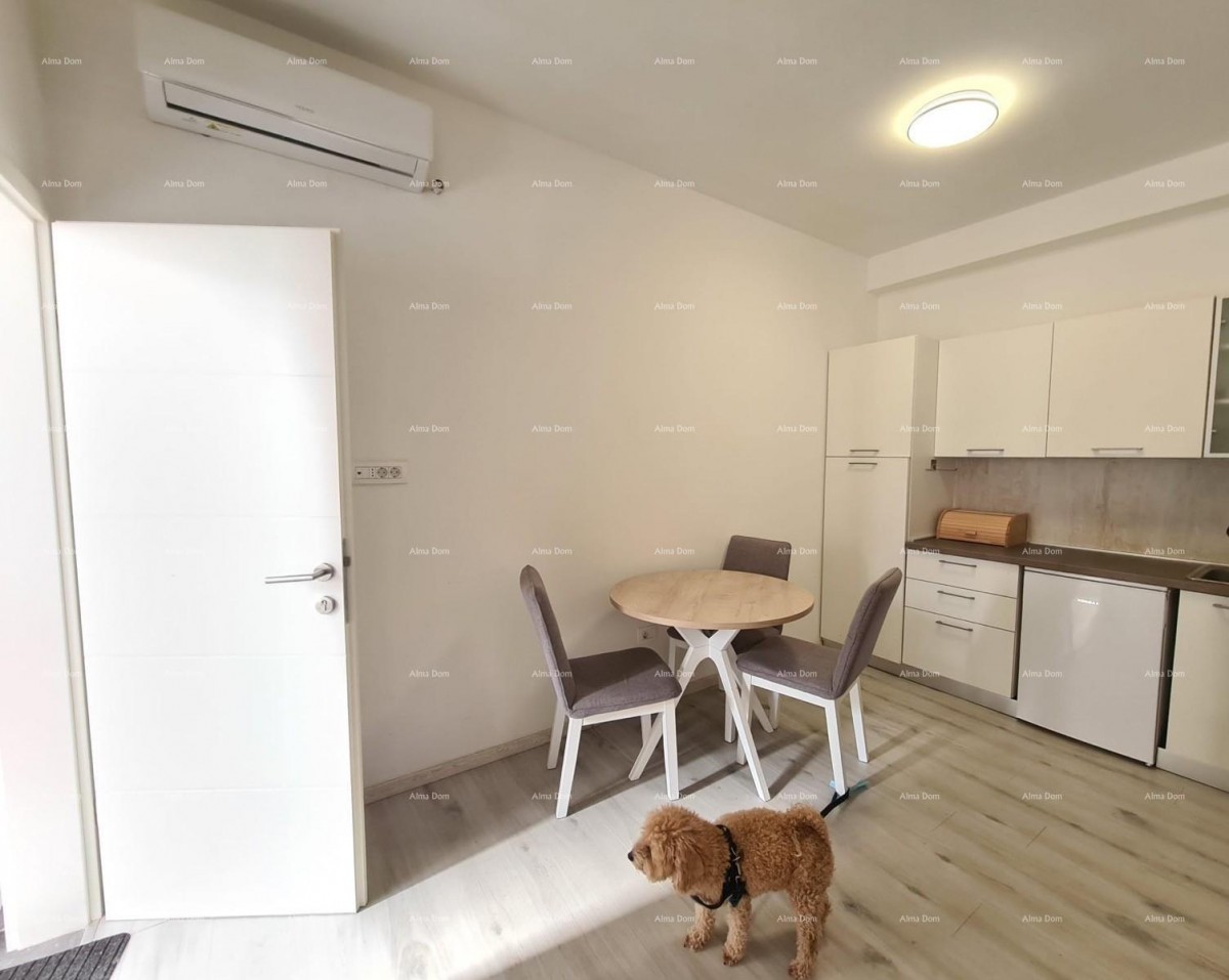 Prodaje se nekretnina s dva apartmana – Pula 3