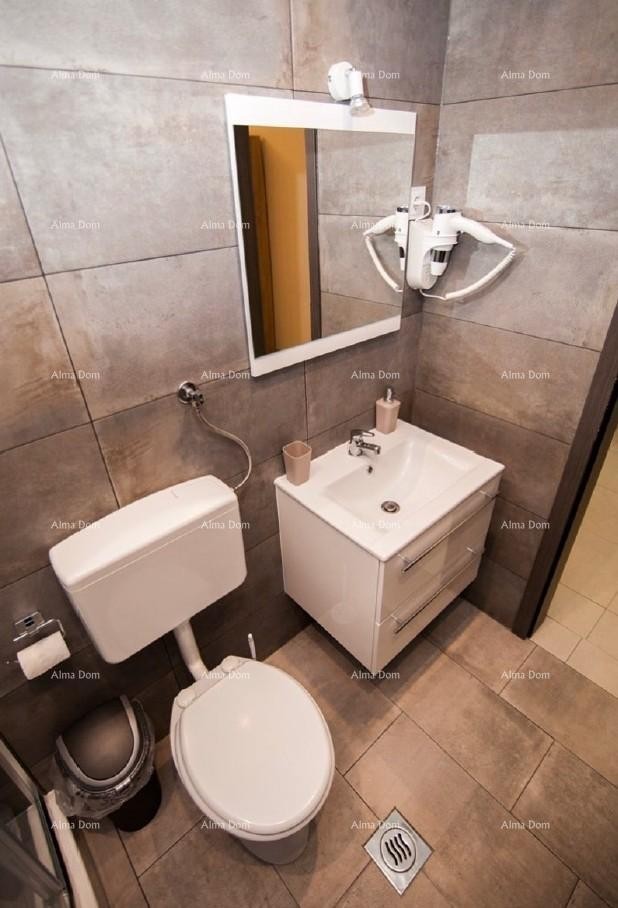 The translation of the title 12