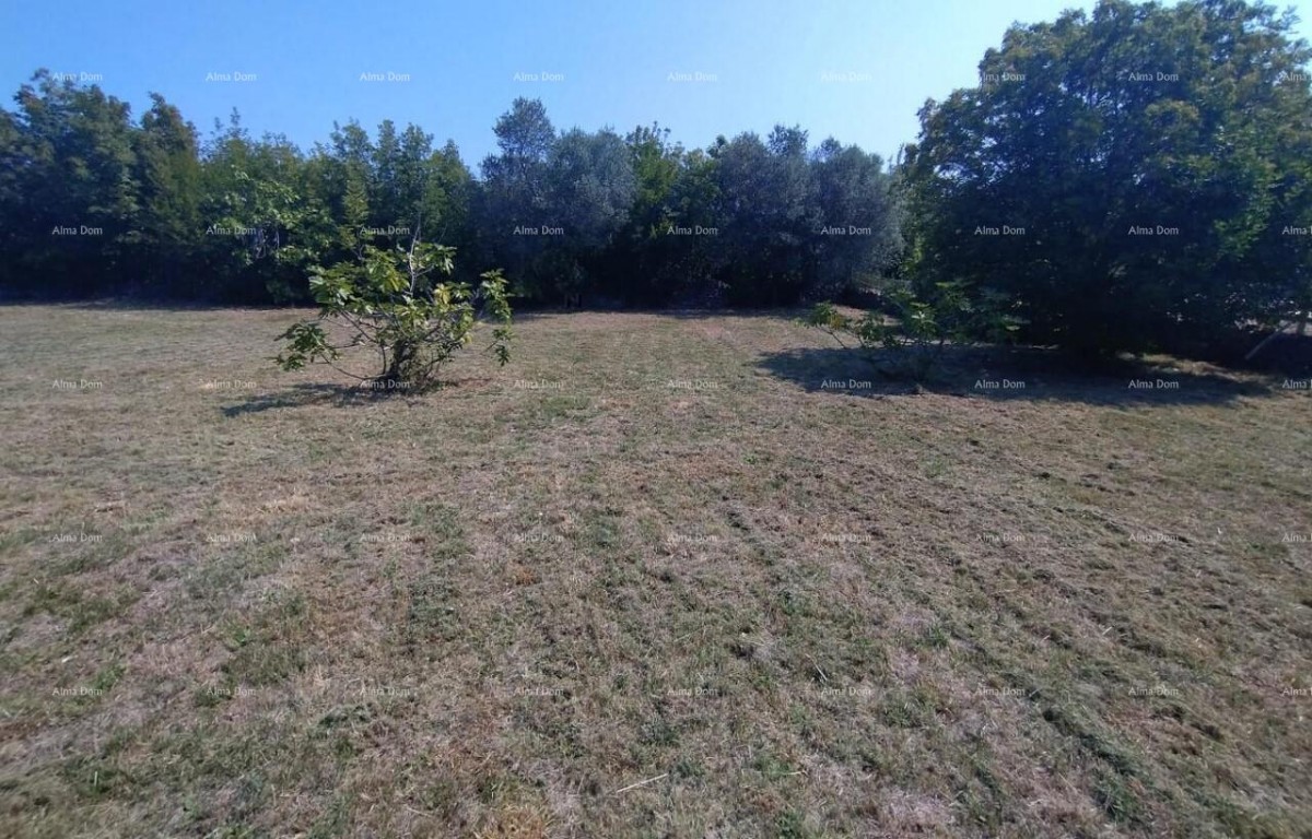 Rakalj, stone house with 1,920 m² of building land 5