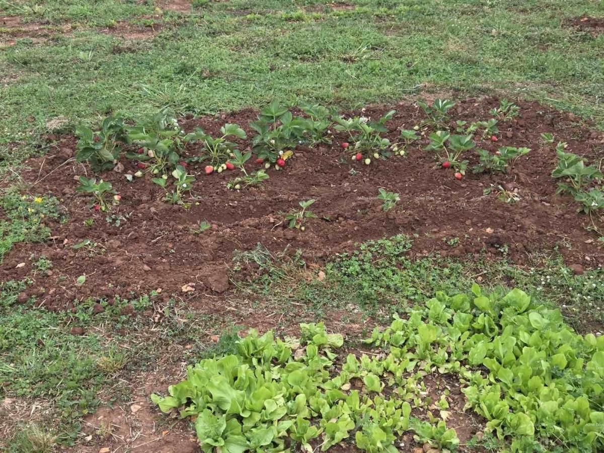 Vendita di terreni con permesso di costruzione e progetto, nei dintorni di Vodnjan! 21