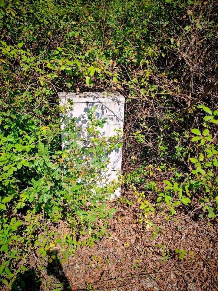 Istria, Kršan, we are selling two building plots with permits. 1