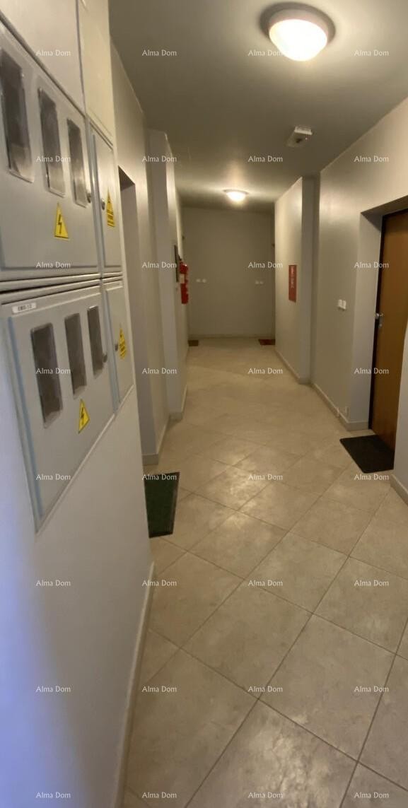 Apartment Novigrad 7