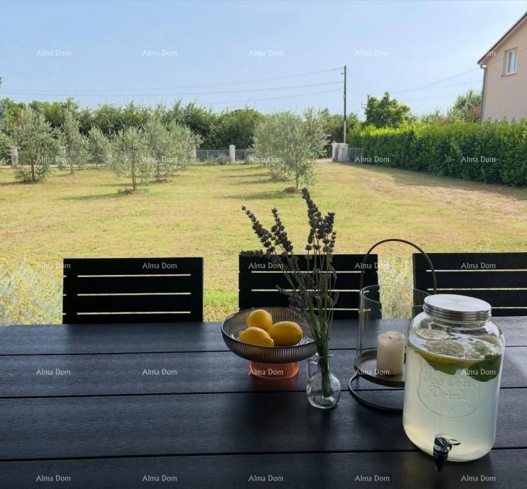 Радеки Главица, Лоборица – Дом с земельным участком, оливковой рощей и фруктовым садом 7