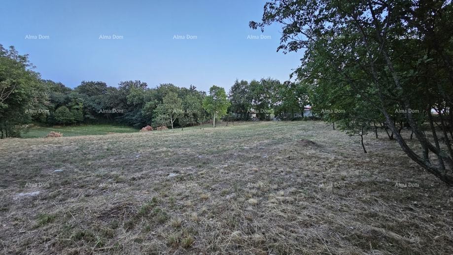 Građevinsko zemljišče v Tinjanu (Istra), 3.623 m² 7