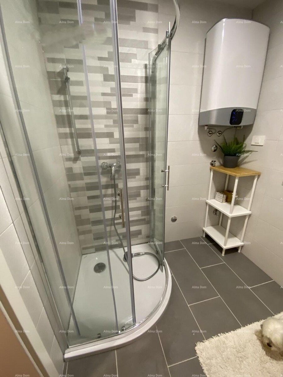 Umag, Crveni Vrh, kuća s tri odvojena apartmana 16