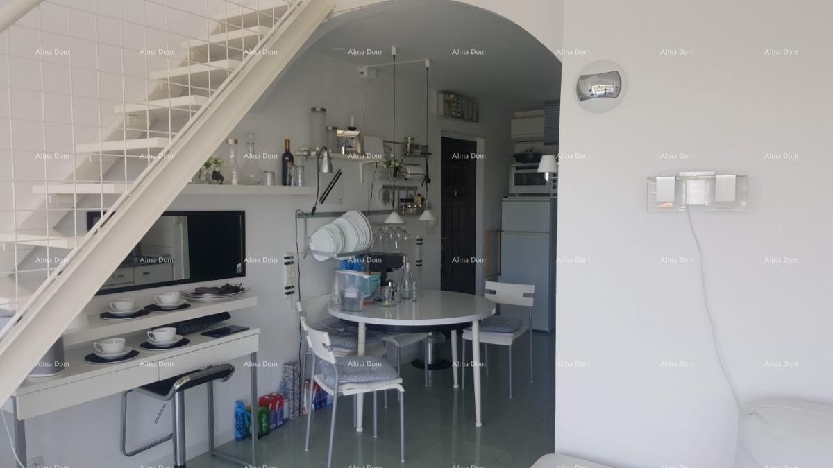 Apartment Novigrad 3