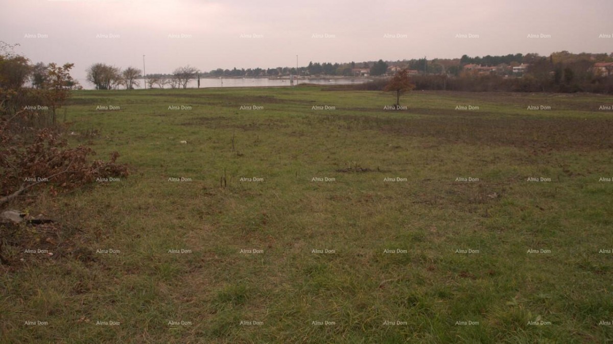 Prodaja građevinskega zemljišča, okolica Novigrada. 3