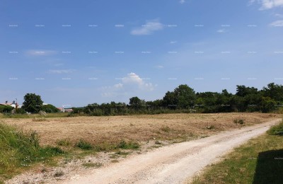 Просторный строительный участок площадью 1700 м² в Шиšanu - идеальная возможность для вашего дома или инвестиции.