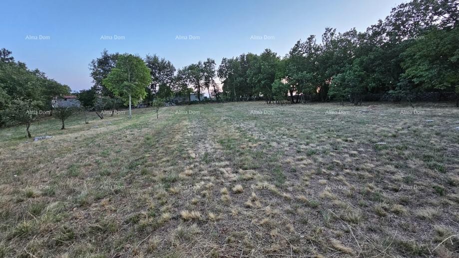 Građevinsko zemljišče v Tinjanu (Istra), 3.623 m² 10