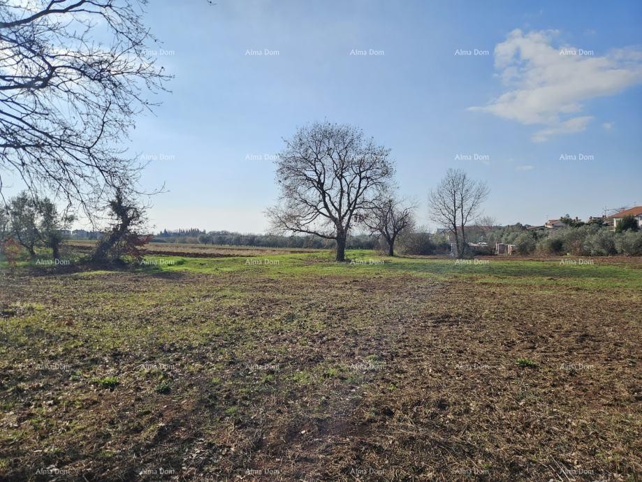 Забронировано!!! Продажа строительного участка с видом на море, Новиград! 1