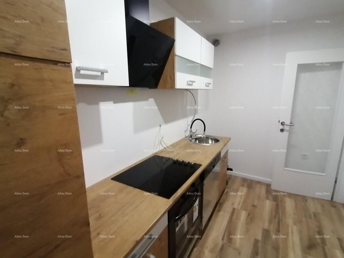 Newly renovated house in Pazin. 6