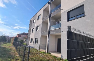 In italiano, il titolo si traduce in: