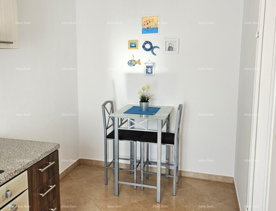 Stanovanje Novigrad 3