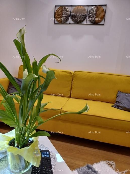 Pula, 2-sobni apartma v centru, 31 m² + terasa in vrt 7