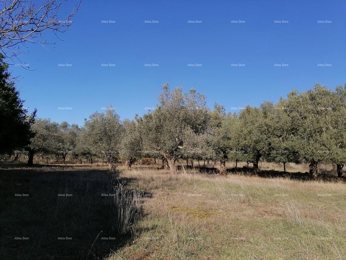 Zemljišče Vodnjan 1