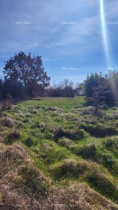 Привлекательный участок под застройку недалеко от Пореча 3