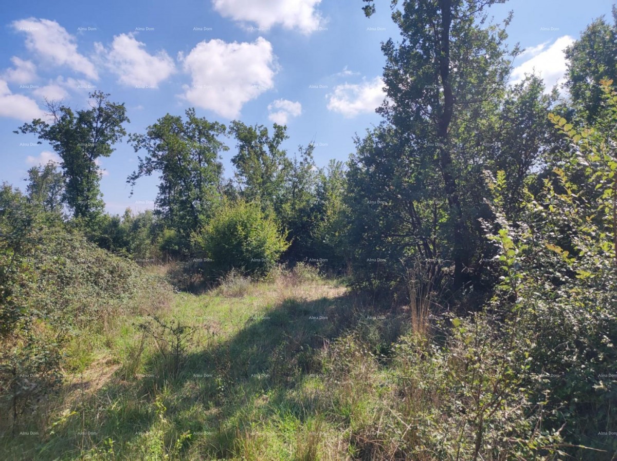 Vendita - TERRENO AGRICOLO, Pula, Valtura! 5