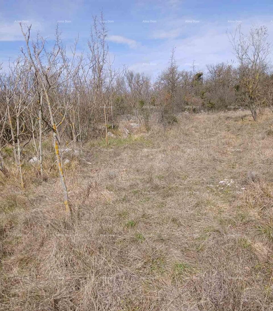 PRODAJA GRAĐEVINSKEGA ZEMLJIŠČA, 6.230 m² – PLOVANIJA (BUJE) 1