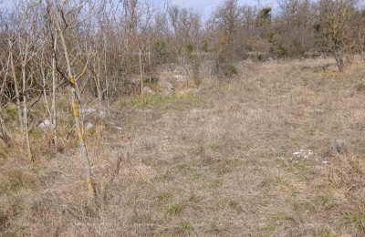 PRODAJA GRAĐEVINSKEGA ZEMLJIŠČA, 6.230 m² – PLOVANIJA (BUJE)