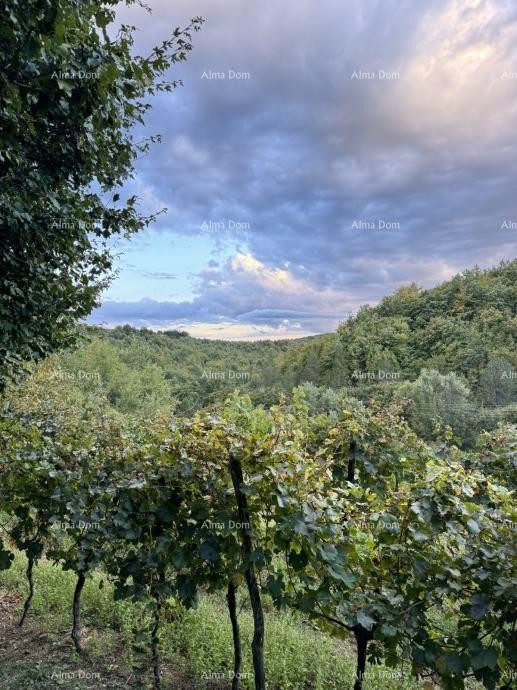 La bellissima proprietà in vendita è circondata da foreste e vigneti, con vista su Gračišće e Učka! 13