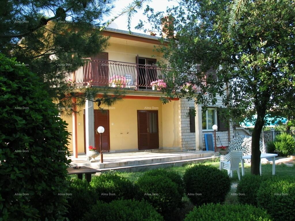 Casa con tre appartamenti e ampio terreno circondata da vigneti e uliveti 1