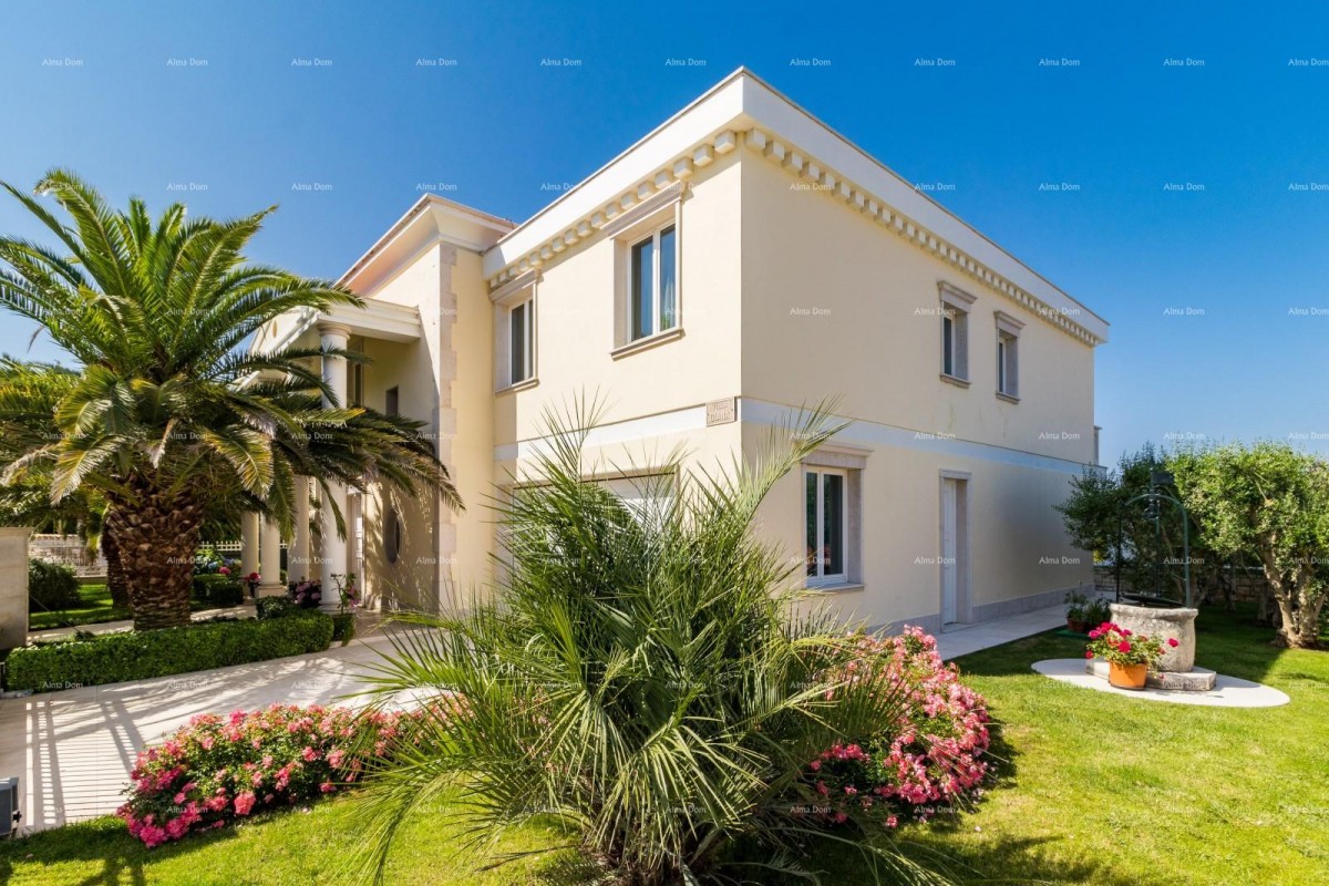 Umag Crveni Vrh. 6