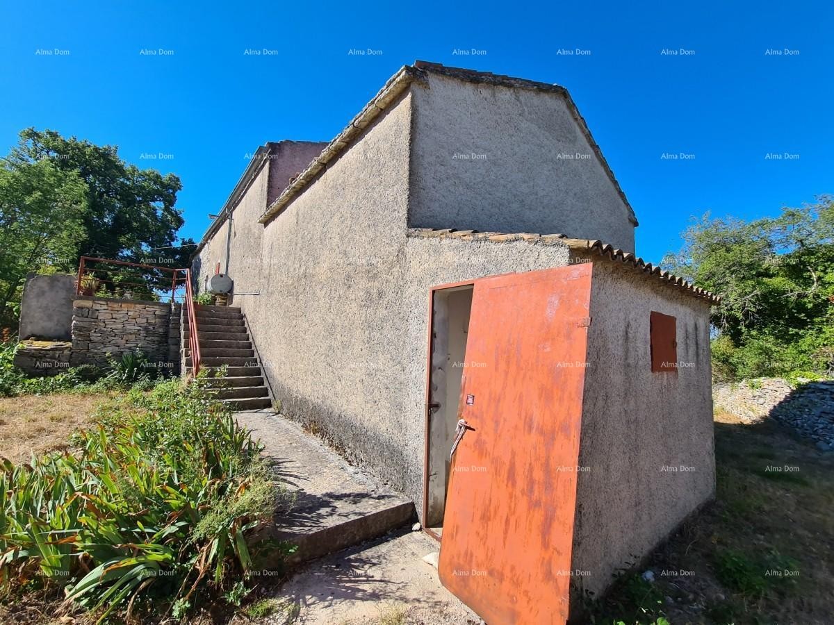 Estate near Vodnjan! Large plot 7154 m2!! 5