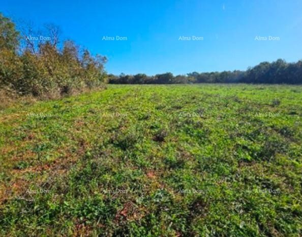 Эемля Marčana 2