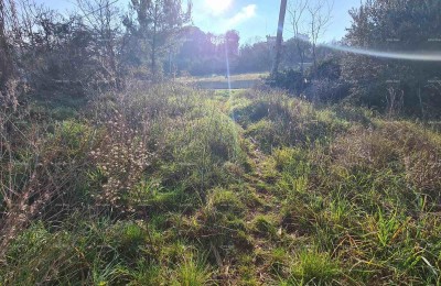 Građevinsko zemljišče Vintijan – 800 m2 – ob cesti