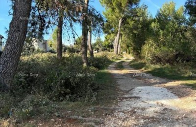 Медулин – сельскохозяйственные земли у границы строительной зоны