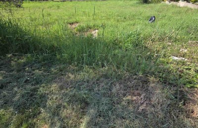 Građevinsko zemljište 1.412 m², Šegotići