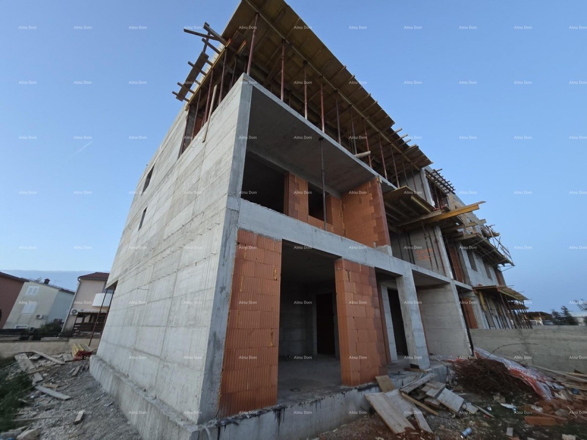 The translation of the title 24