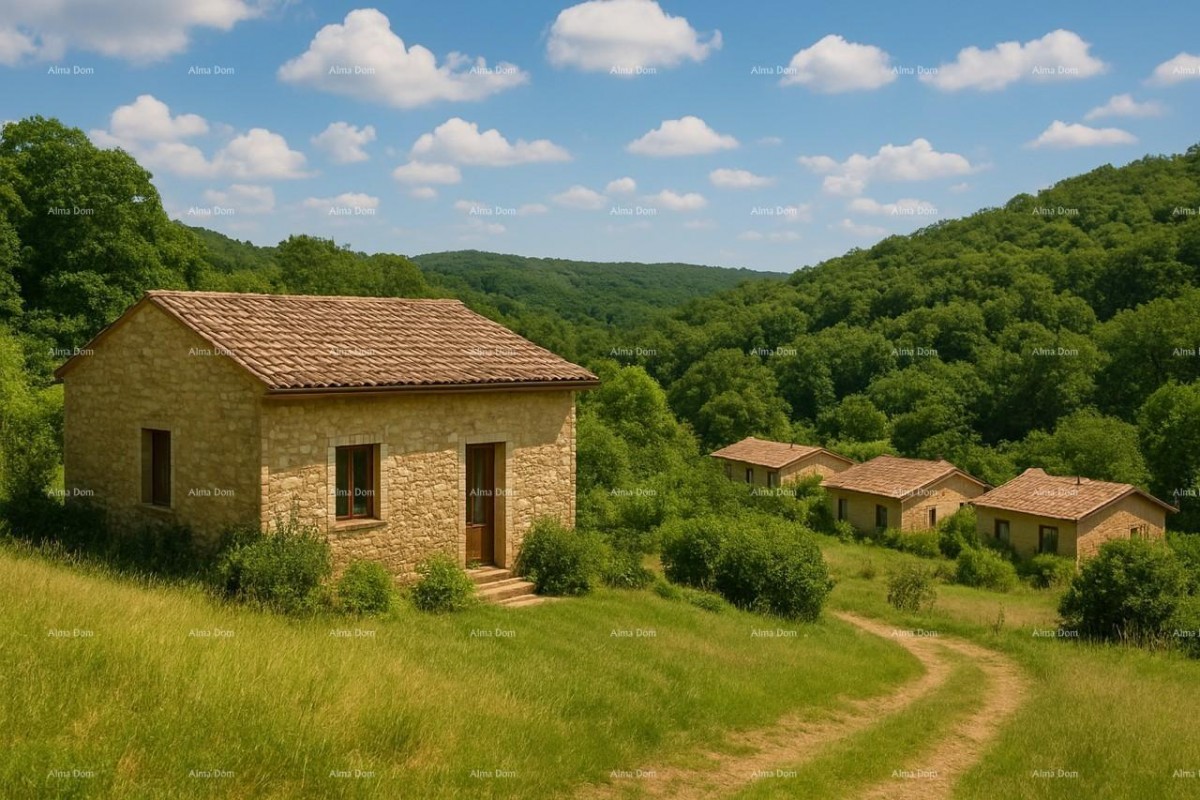 Prodaja- veliko imanje/stancija u središnjoj Istri, Pazin! Investicijska prilika! 10