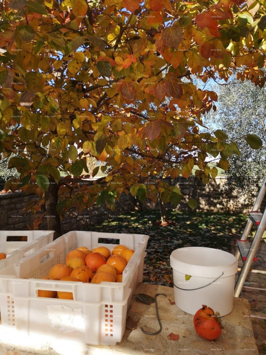 Beautiful house with large pool 26