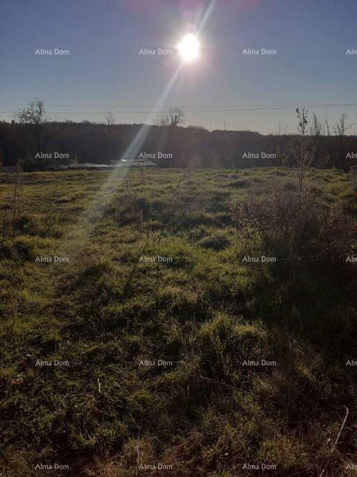 Prodaje se zemljište u Brtonigli (Istra) –građevinsko i   poljoprivredno, ukupne površine 5.000 m² 2