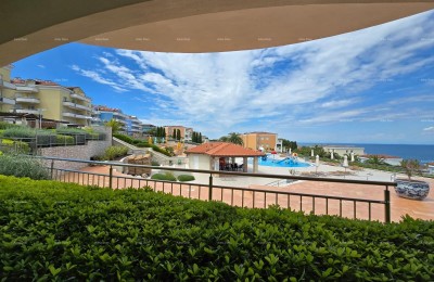 UMAG. Rezidencija Skiper