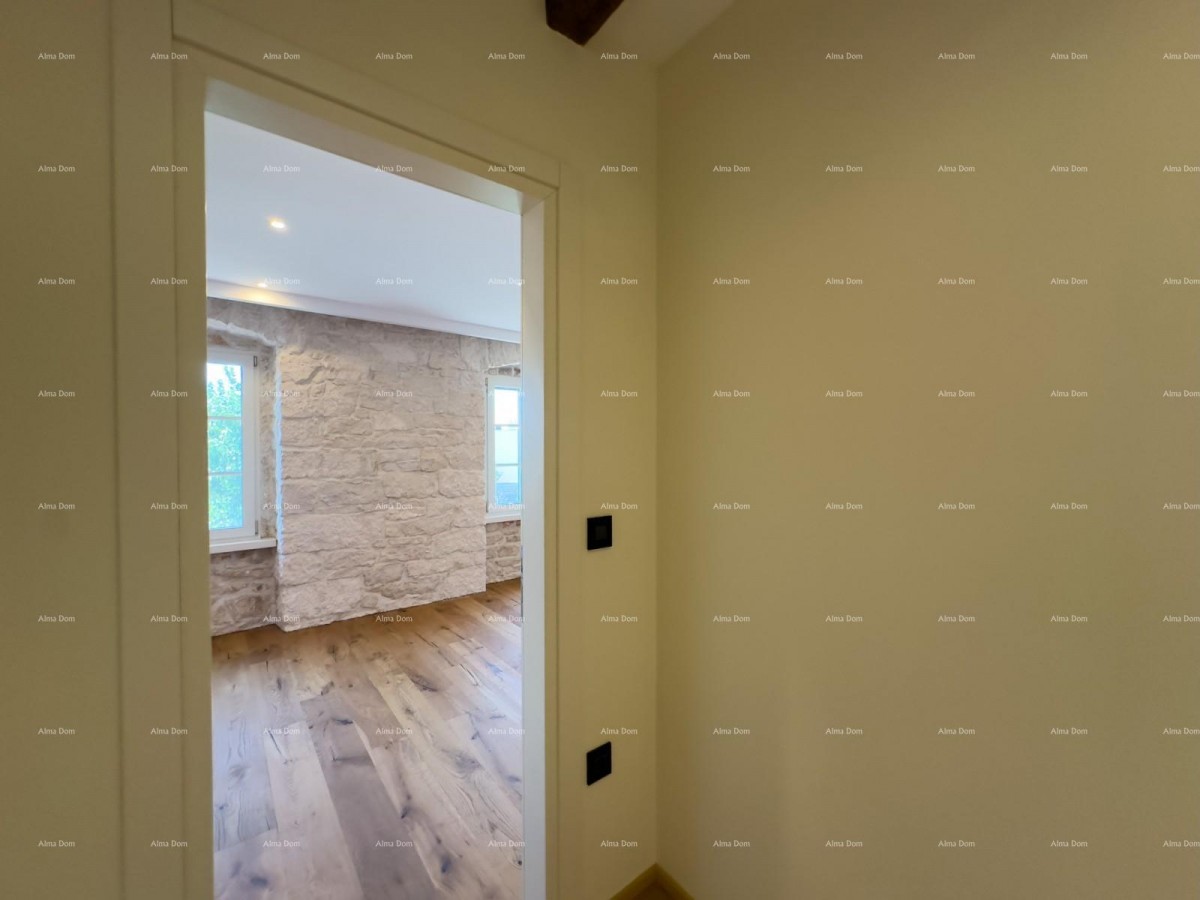 Редкость на рынке!   Istra  Barban 26